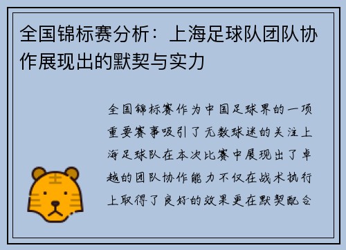 全国锦标赛分析：上海足球队团队协作展现出的默契与实力